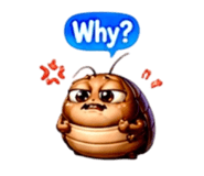 853970619