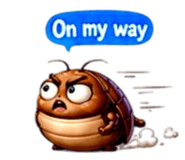 853970623