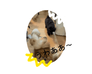 853974735