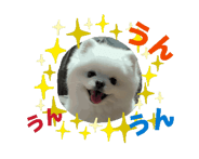 853980471