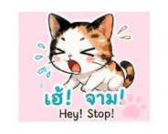 853983206