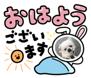 854013307