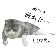 854037191