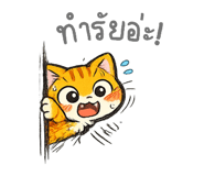 854037549