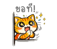 854037557