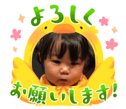 854046204