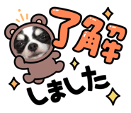 854047422