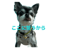 854047771