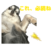 854047778