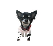 854047779