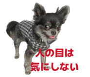 854047787