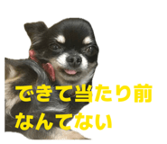 854047797