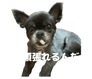854047804