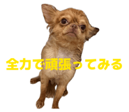 854047806