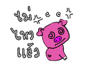 854050233