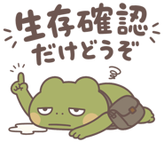 854050312