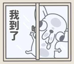 854056033