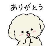 854056092