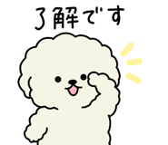 854056094