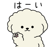 854056096
