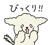 854056116