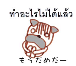 8540562