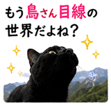 854056318