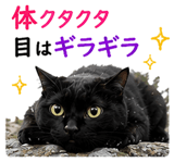 854056320