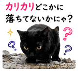 854056322