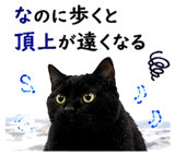 854056326