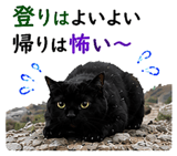 854056333
