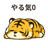 854071721
