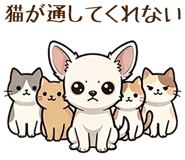 854072688