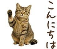 854073114