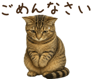 854073120