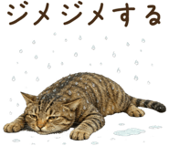 854073132