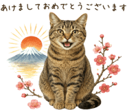 854073143