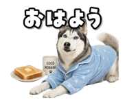 854079243