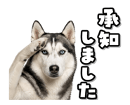 854079247