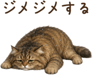 854083380