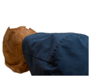 854101619