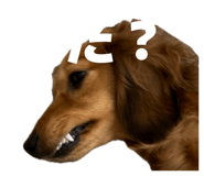 854101624