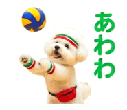854102995