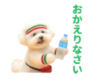 854103020