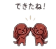 854104020
