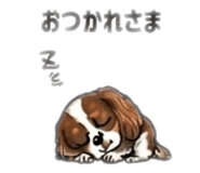 854104415