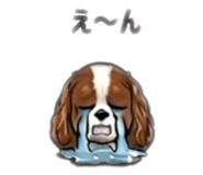 854104438