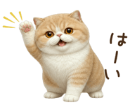 854104643