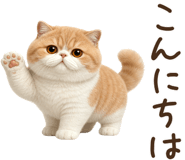 854104650