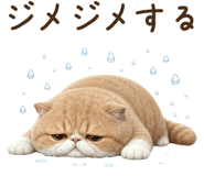 854104668